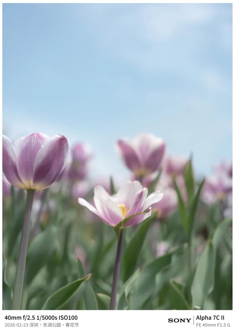 Sony Alpha 7C II 边框
