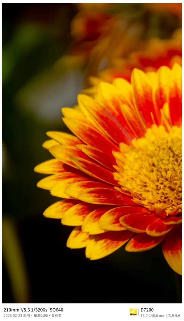 Nikon D7200 边框