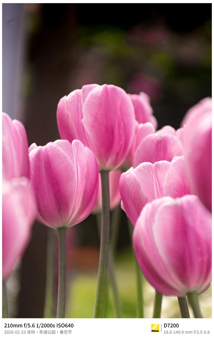 Portrait photography